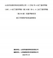 山東祥東新材料科技有限公司1.2萬噸/年6-叔丁基鄰甲(60K)、4-叔丁基鄰甲酚(偏 24 酚)和 4，6-二叔丁基鄰甲酚(偏 246 酚)烷基甲酚項(xiàng)目竣工環(huán)境保護(hù)驗(yàn)收監(jiān)測報(bào)告